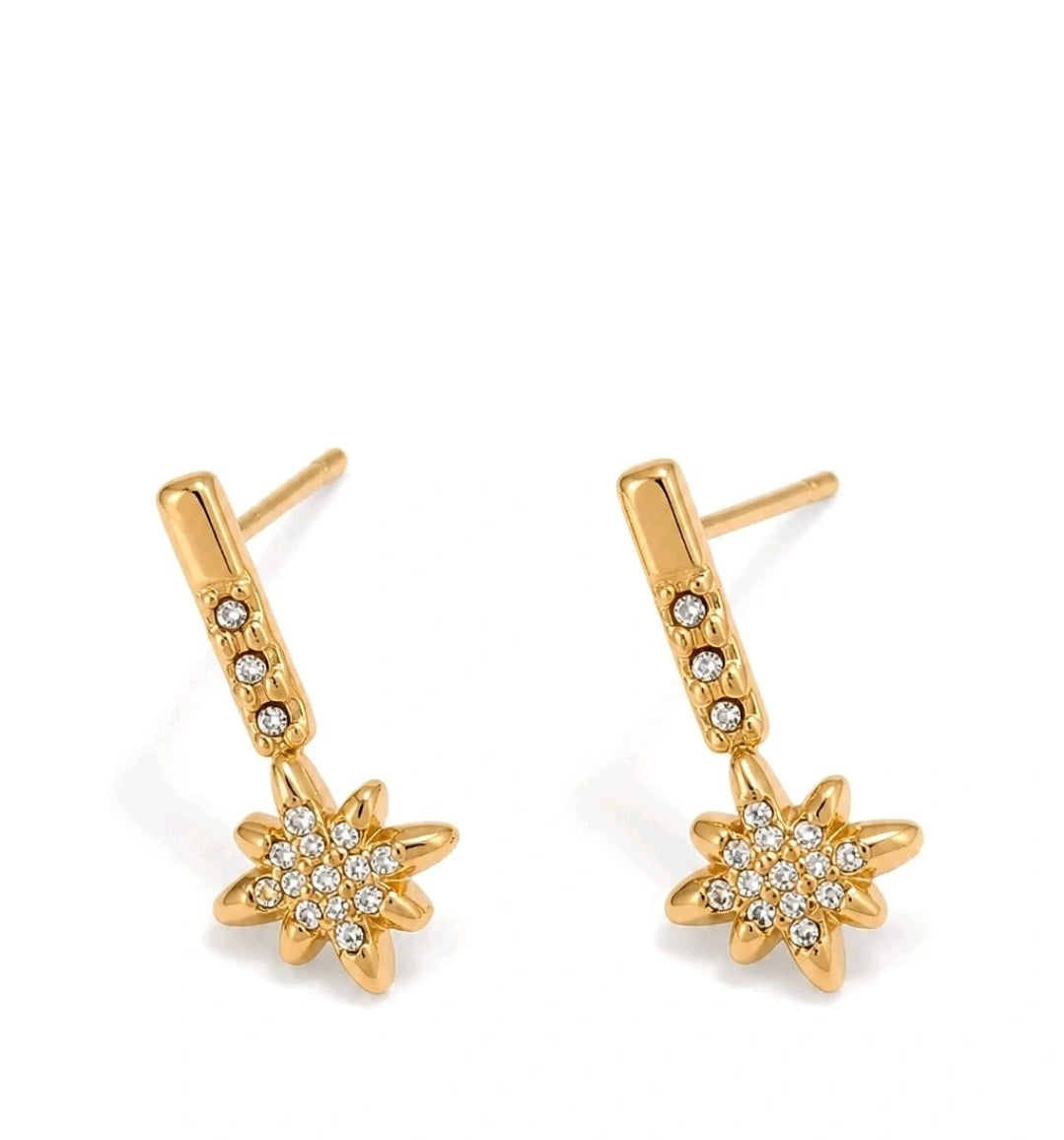 Boucles d’Oreilles Étoile Strass – Acier Inoxydable